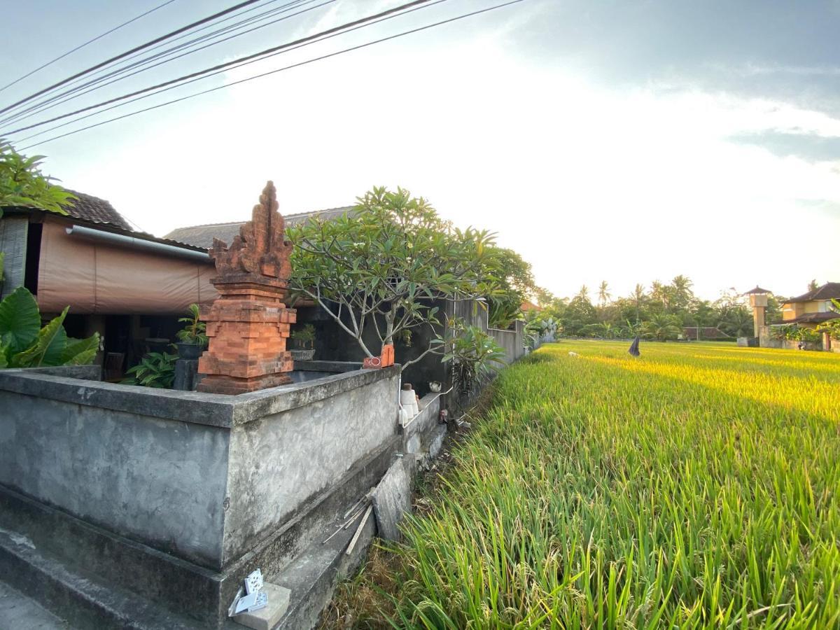 Rumah Dadong Убуд Екстер'єр фото